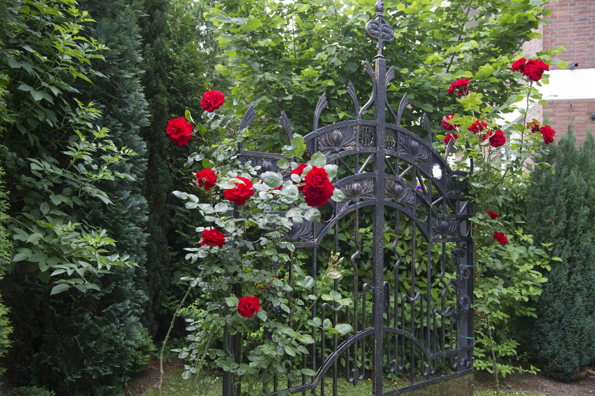 Boutiquehotel Dreesen - Villa Godesberg Bonn Exteriör bild