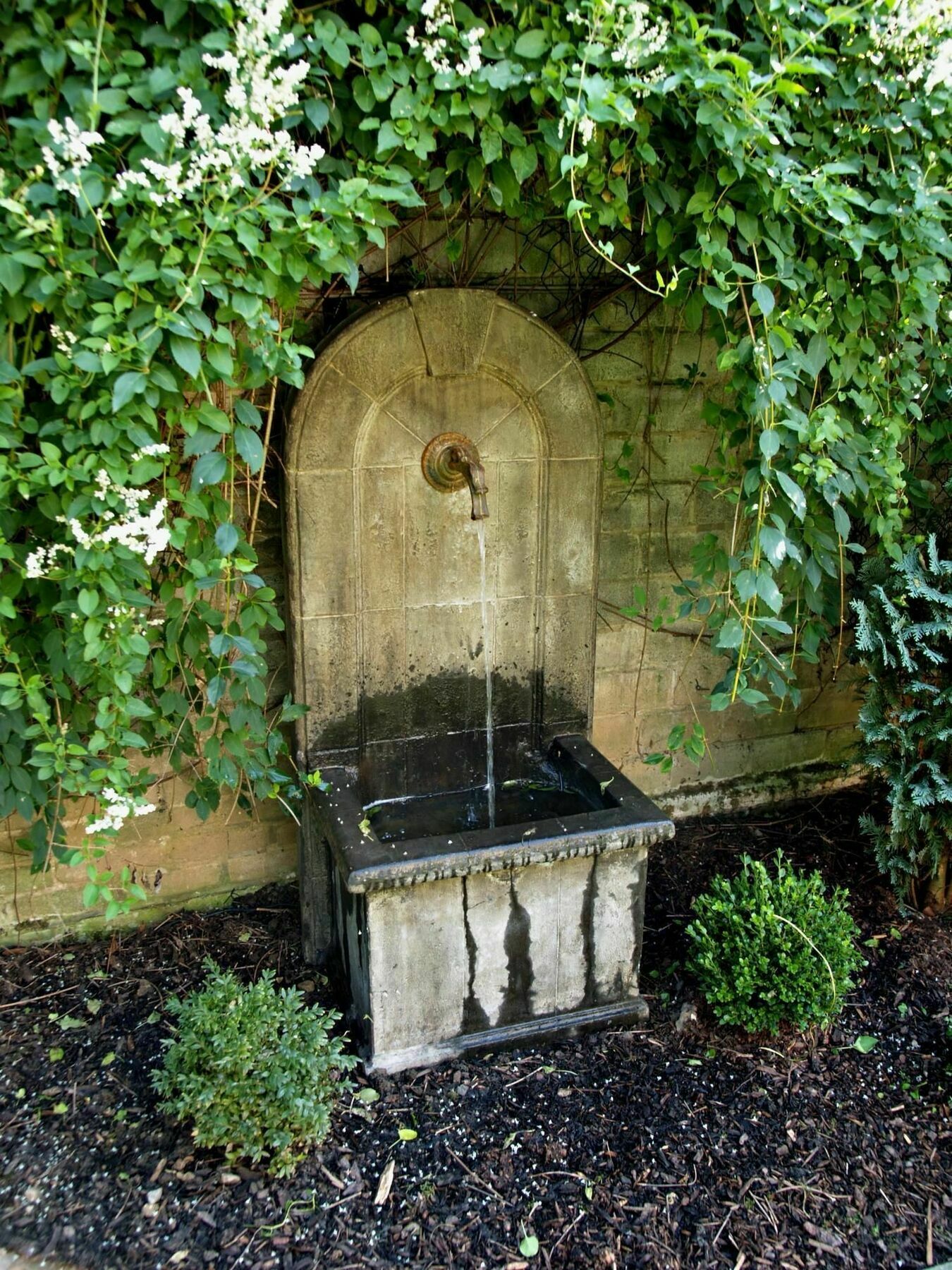 Boutiquehotel Dreesen - Villa Godesberg Bonn Exteriör bild
